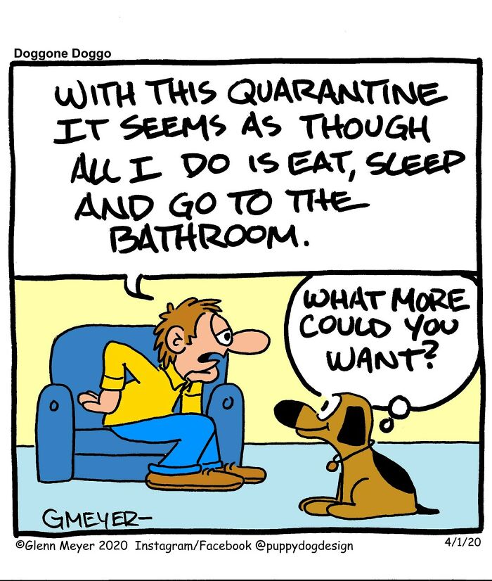 Cartoon by GMeyer about life with a dog during quarantine, showing a man on a sofa talking to his dog.