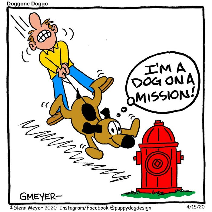 A funny GMeyer comic about life with a dog dragging its owner towards a fire hydrant.