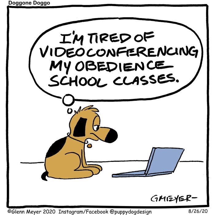 Dog humor comic by GMeyer with a dog thinking about videoconferencing for obedience school.