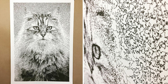Cat portrait in a hand-drawn style, generated using code, showcasing intricate line patterns and unique artistic style.