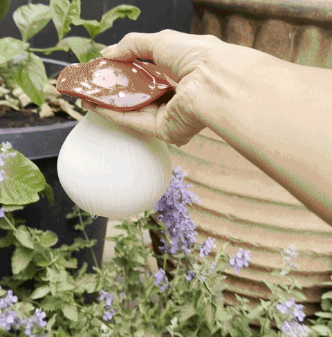 A hand using a glass watering bulb for indoor gardening essentials near potted plants.