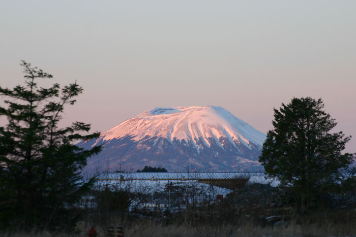 Snow-capped mountain at sunset with trees in the foreground, highlighting random world's natural beauty.
