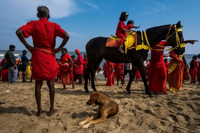 Street photography by Md Enamul Kabir: A vibrant beach scene with people in red attire and a horse, capturing lively interaction.
