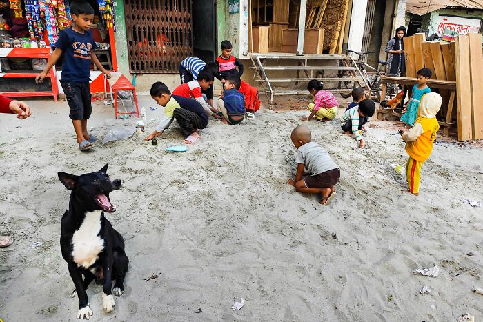 Children playing in sand on a street while a black and white dog sits nearby, showcasing street photography.