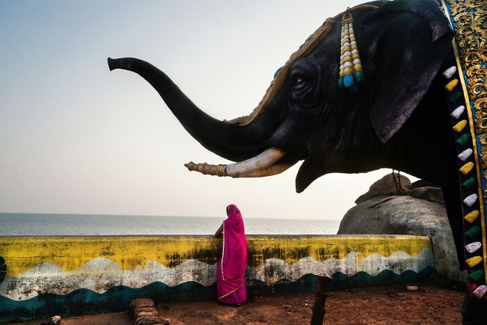 Woman in a pink sari standing by a decorated elephant, highlighting street photography moments.