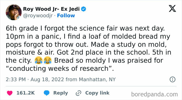 Tweet humorously celebrating Black culture with a story about a last-minute science fair project on moldy bread.