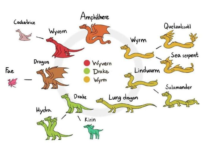 Dragon Types