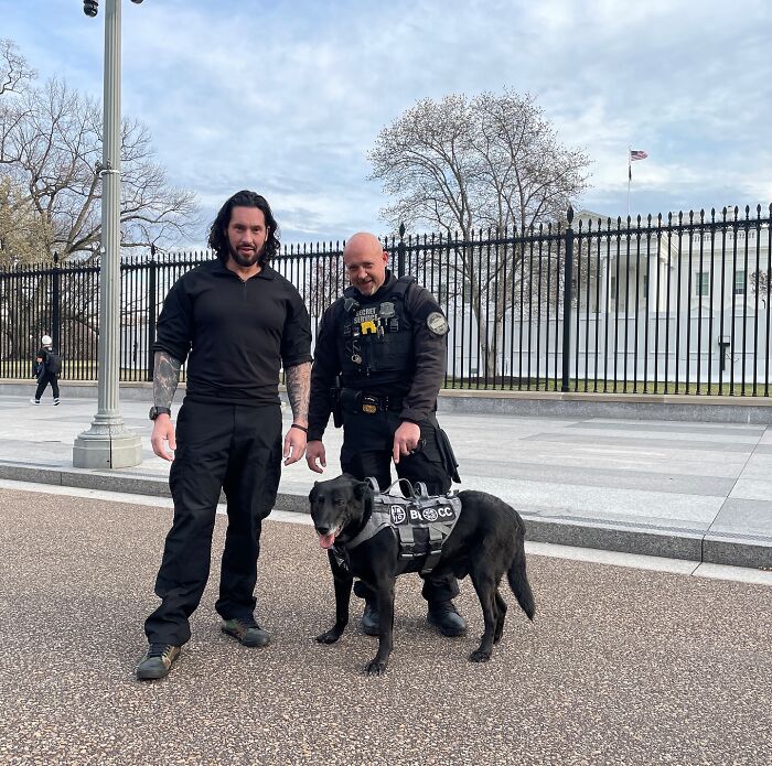 Two men in black attire and a decorated K9 dog pose near a fence. Two men in black attire and a decorated K9 dog pose near a fence.