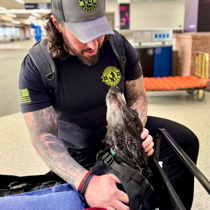 Man in a K9 cap petting a black dog named Hurricane, wearing a harness, in an indoor setting. Man in a K9 cap petting a black dog named Hurricane, wearing a harness, in an indoor setting.