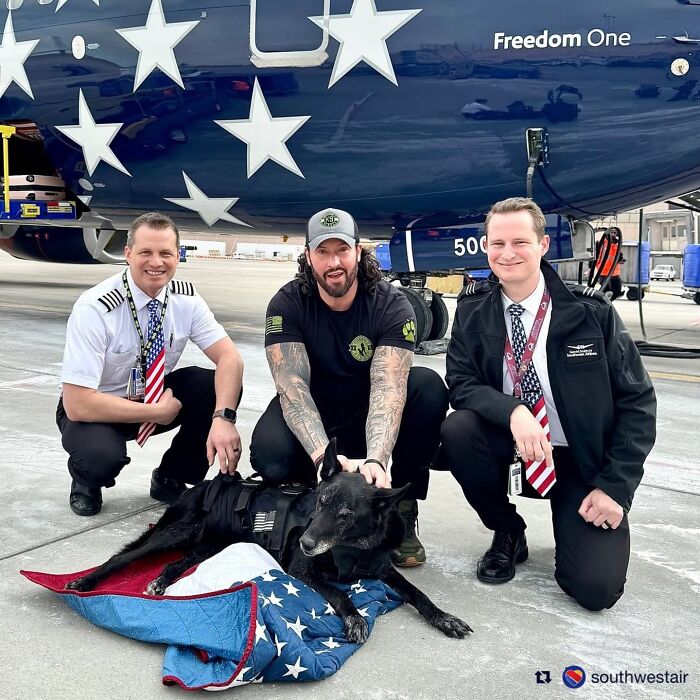 Three men with K9 Hurricane beside a plane, honoring the decorated dog wrapped in an American flag. Three men with K9 Hurricane beside a plane, honoring the decorated dog wrapped in an American flag.
