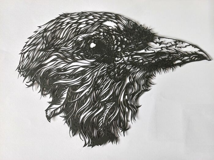 Hand-cut paper artwork of a bird's head, intricately detailed using a scalpel.