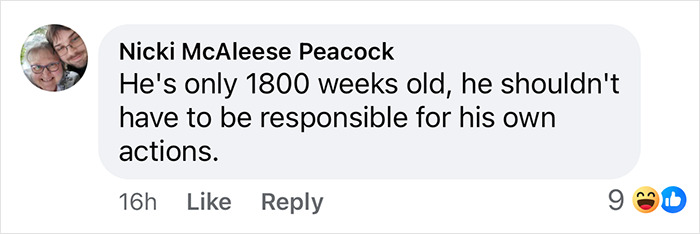 Comment on responsibility in actions, related to alleged incident involving Nicolas Cage's son.