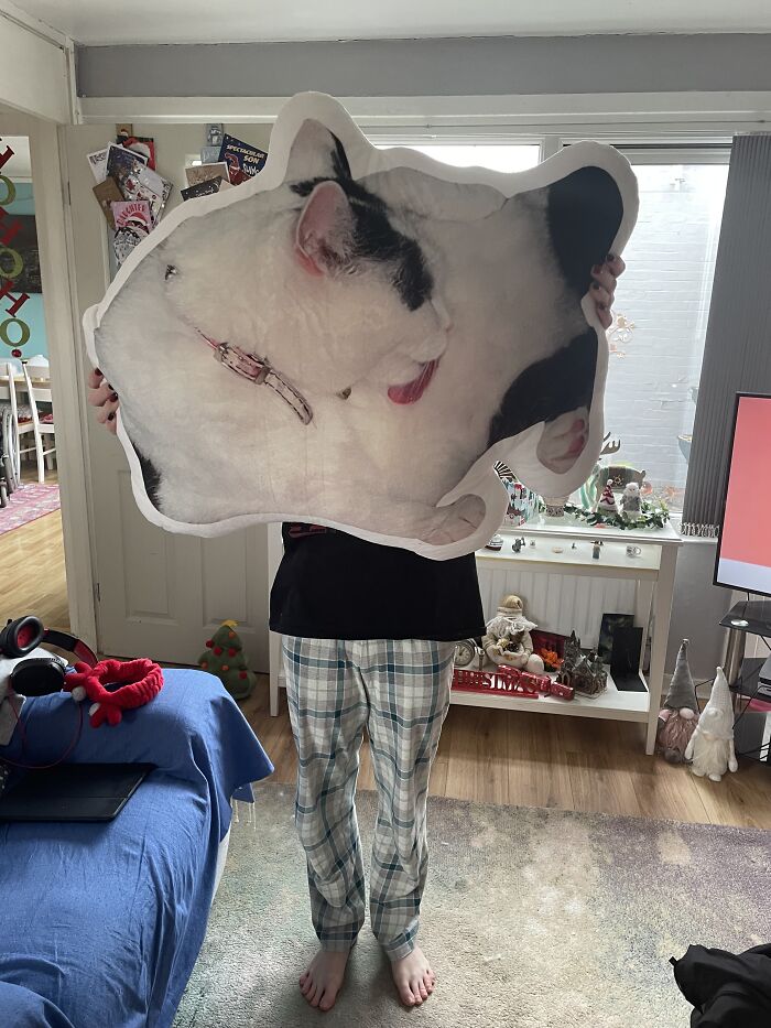 Giant Cushion Of Our Cat Pi, My Daughter Bought Me For Christmas