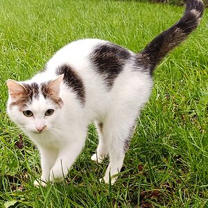 heyrickmail-lindt_1 avatar