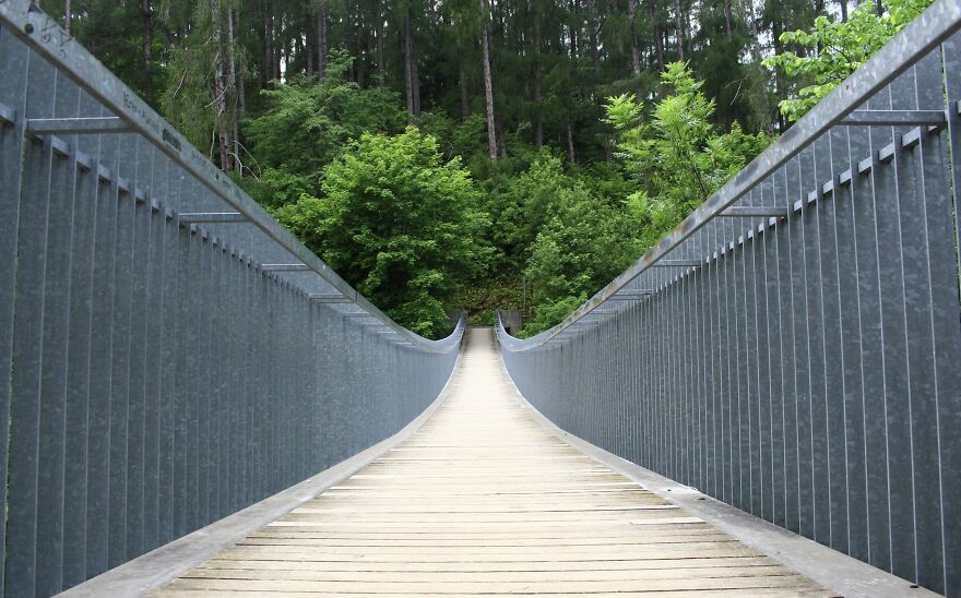 Suspension bridge over a forested area, prompting ethical dilemmas in decision-making.