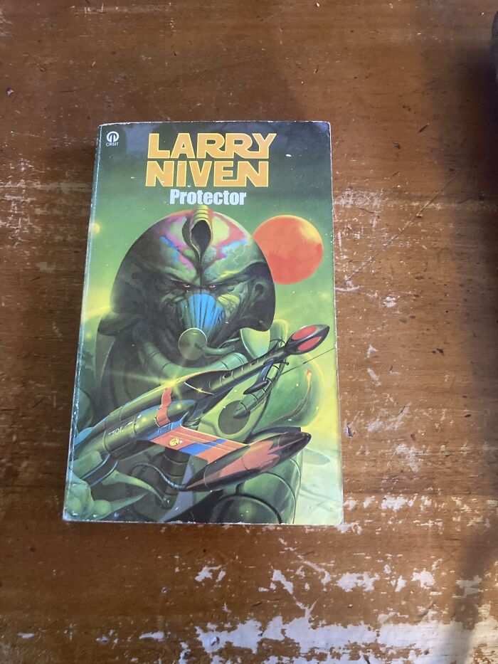 Protector. Probably Reread This Book The Most. Even More Than Any Discworld Book From Terry Pratchett