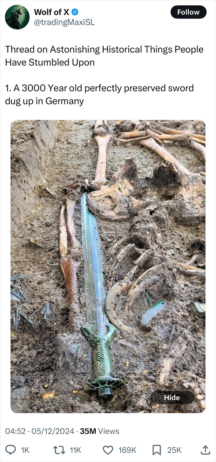 Perfectly preserved 3000-year-old sword unearthed in Germany, a fascinating archaeological find.