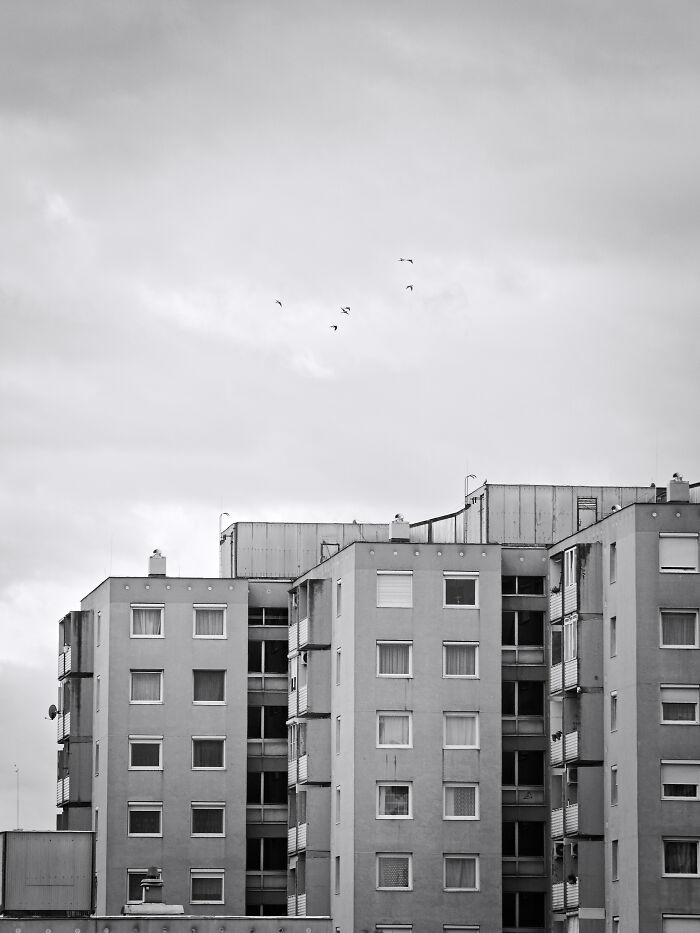 Hungary’s panel buildings under a cloudy sky, with birds flying above.