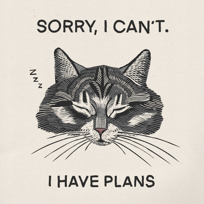 Quirky cat illustration with text "Sorry, I can't. I have plans," depicting the humorous nature of cats.
