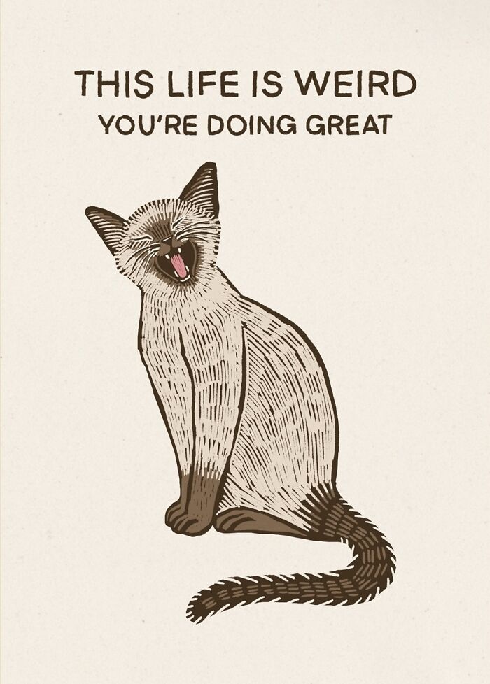 Illustration of a quirky cat yawning with the text "This life is weird, you're doing great" above it.