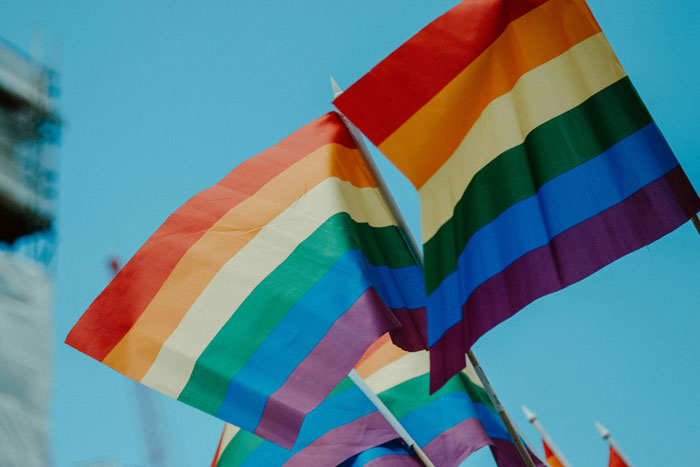 Pride flags waving against a blue sky, symbolizing LGBT support amidst controversy over magnets and Lego bricks. Pride flags waving against a blue sky, symbolizing LGBT support amidst controversy over magnets and Lego bricks.