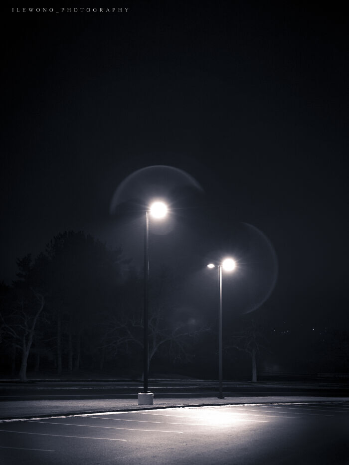 I Got A New Lens, And Here Are Some Test Photos I Took (6 Pics)