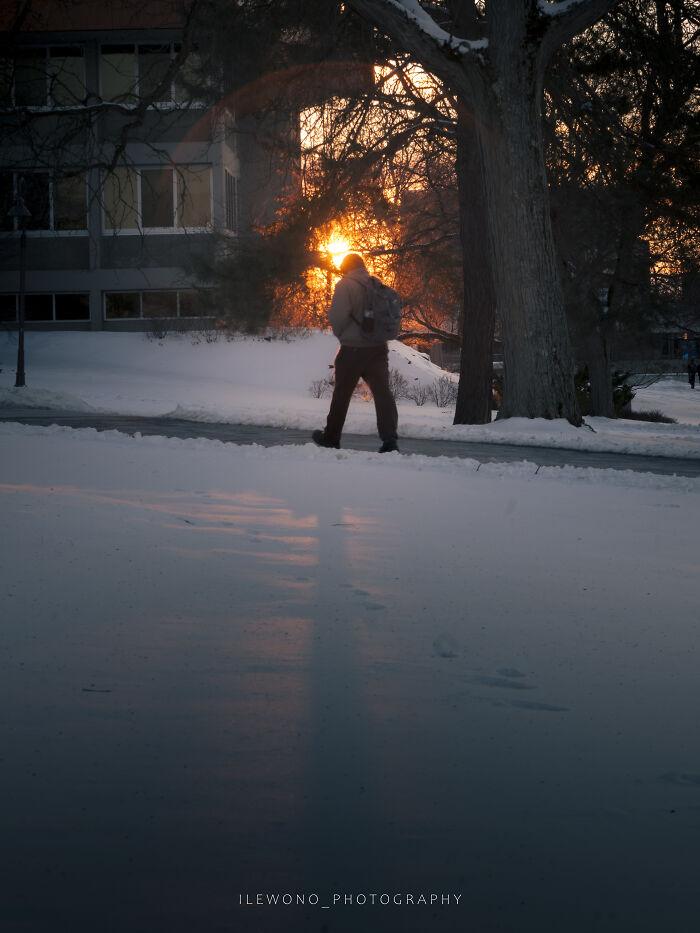 I Got A New Lens, And Here Are Some Test Photos I Took (6 Pics)