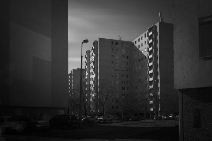 Black and white photo of Hungary's panel buildings with parked cars and bare trees in the foreground.