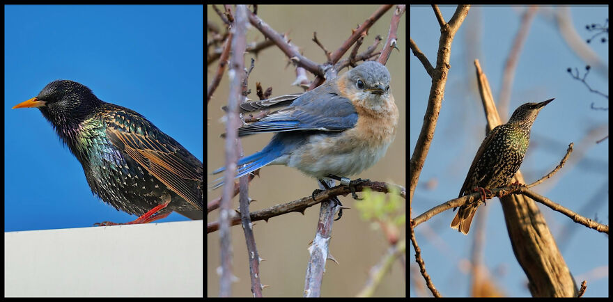 Mike Piston&rsquo;s Photographic Tale Of Discovery At The Rockefeller State Park Preserve