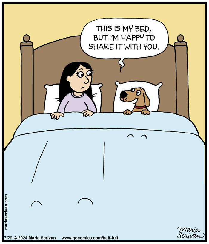 Comic by Maria Scrivan featuring a funny situation with a woman and a dog in bed.
