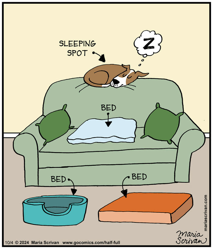 Dog humorously sleeps on couch above labeled beds by Maria Scrivan.
