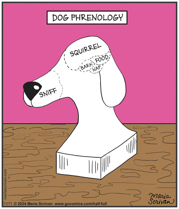 Dog phrenology cartoon by Maria Scrivan with absurd humor featuring a dog's head labeled with thoughts like "squirrel" and "sniff".