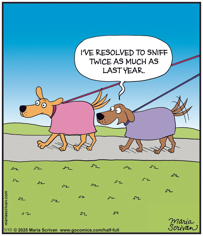 Two dogs in sweaters walking on a path; one resolves to sniff twice as much, showcasing absurd humor by Maria Scrivan.