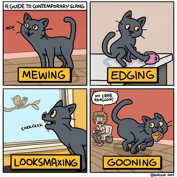 Clever comic by Matt Czap featuring a cat humorously illustrating contemporary slang.