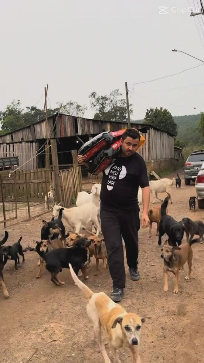 Man carrying dog food surrounded by stray dogs in a rural setting. Man carrying dog food surrounded by stray dogs in a rural setting.