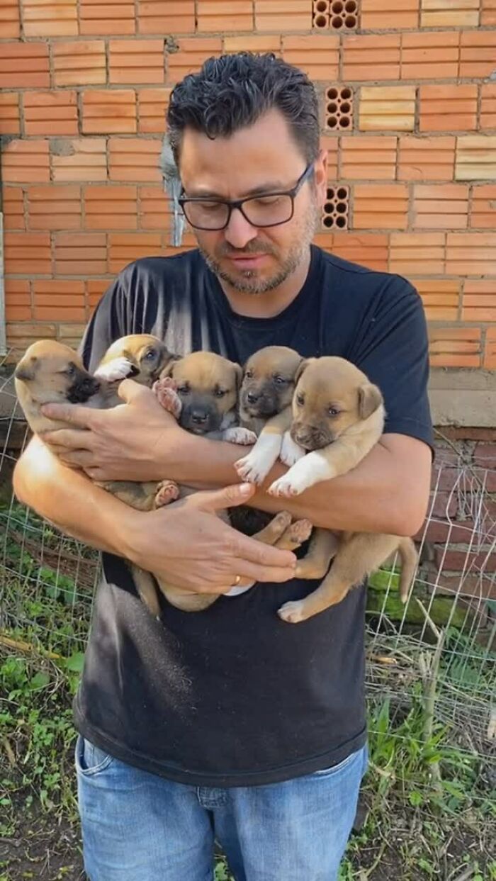 Man holding puppies, committed to feeding stray dogs for 25 years. Man holding puppies, committed to feeding stray dogs for 25 years.