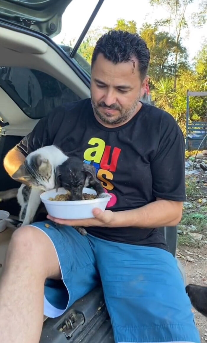 Man feeding stray dogs from a bowl while sitting near an open car trunk, demonstrating kindness to animals. Man feeding stray dogs from a bowl while sitting near an open car trunk, demonstrating kindness to animals.