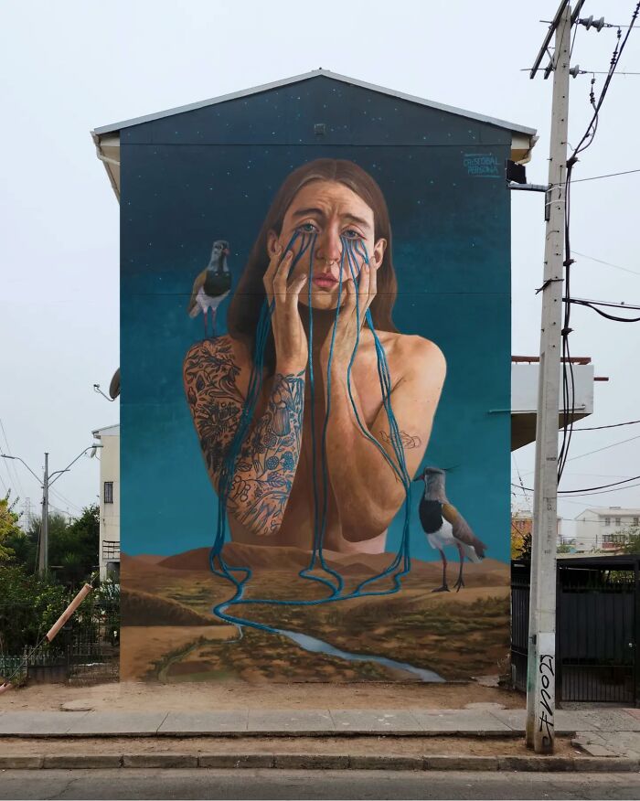 Chilean artist's mural of a person with water flowing from eyes, featuring a desert landscape and birds.