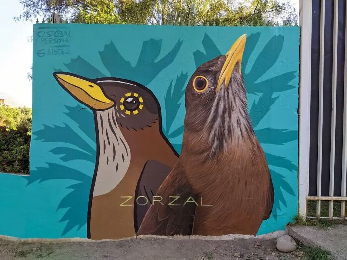 Chilean artist's mural of two birds with a turquoise background, titled "Zorzal."