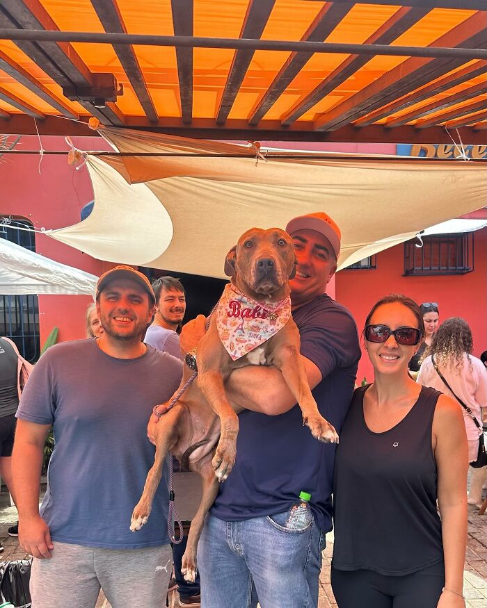 People posing with a happy pit bull wearing a bandana, supporting the rescue organization facing debt challenges. People posing with a happy pit bull wearing a bandana, supporting the rescue organization facing debt challenges.