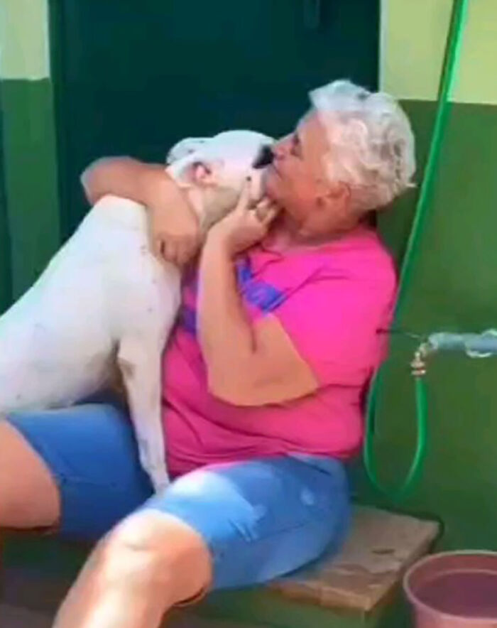 Due To Bad Reputation Of The Breed, Pit Bull Rescuers Struggle To Stay Open Due To Bad Reputation Of The Breed, Pit Bull Rescuers Struggle To Stay Open