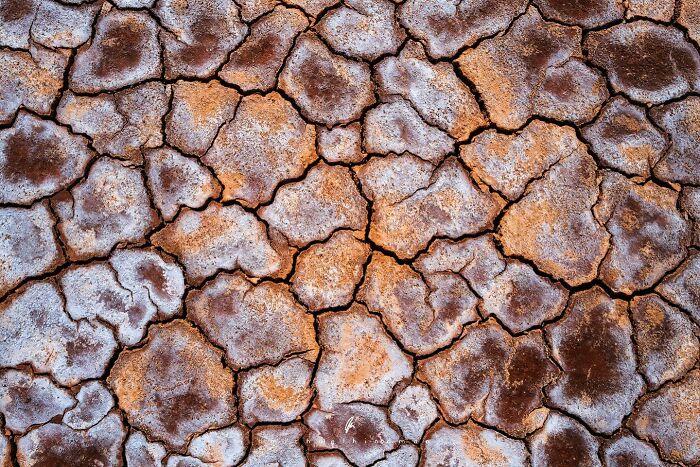 C*****d earth texture in an intimate nature landscape, showcasing rich earthy tones.