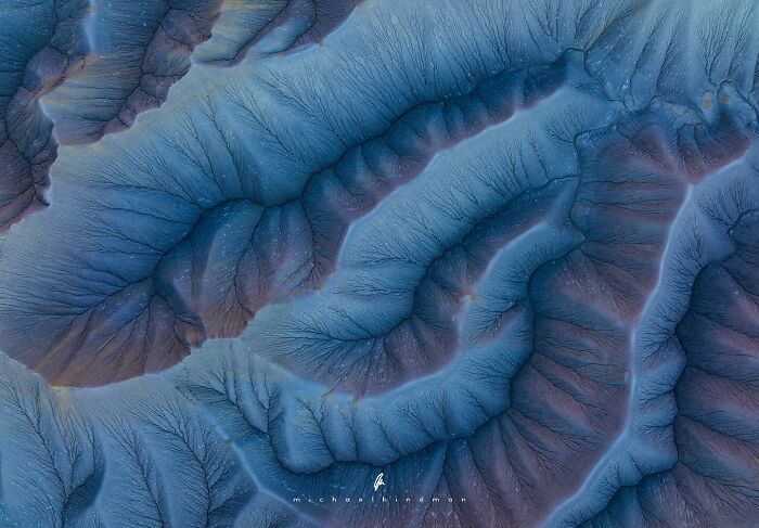 Blue-hued intricate natural textures captured by Michael Hindman, showcasing intimate landscape details.