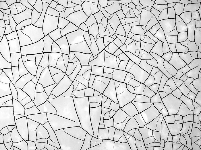 Intricate textures of nature with abstract c*****d pattern resembling stained glass by Michael Hindman.