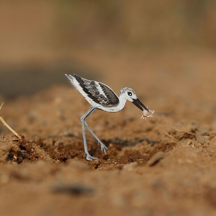 Miniature realistic paper art of a bird on a dirt surface, showcasing artistic detail and conservation themes.