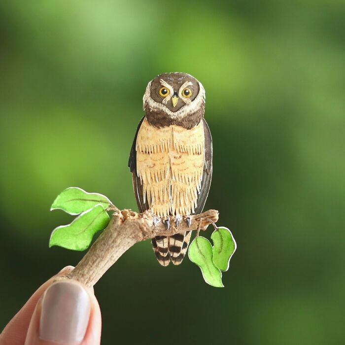 Miniature realistic paper owl art held against a green background, highlighting conservation themes.