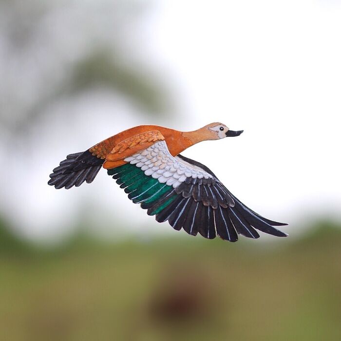 Miniature realistic paper art of a bird in flight, showcasing intricate conservation-themed craftsmanship.