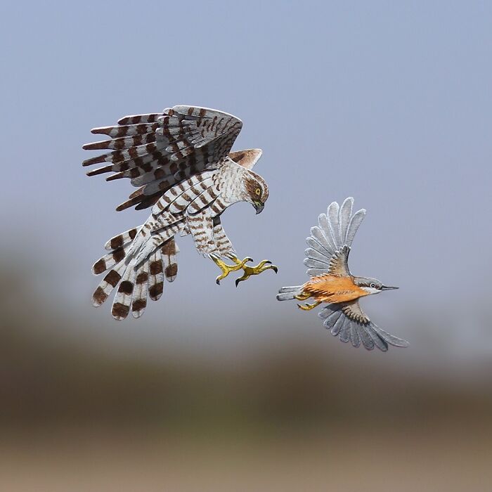 Miniature realistic paper art of two birds in flight.