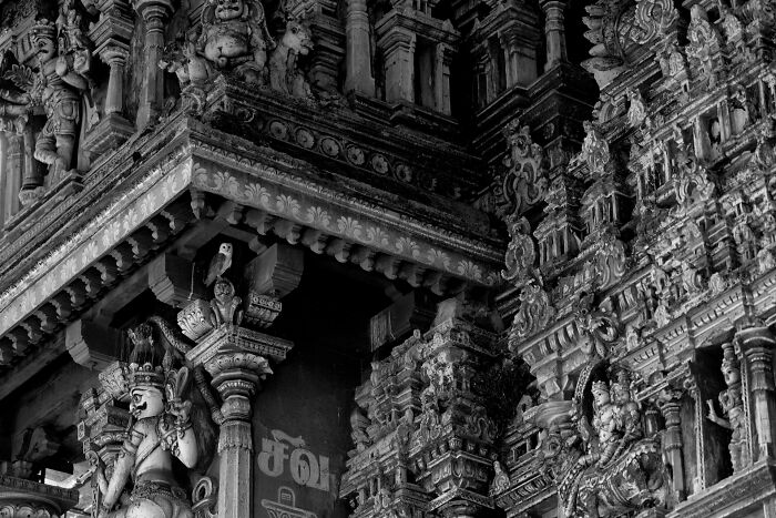 Intricate temple carvings captured in the 2024 Nature inFocus Photography Contest.