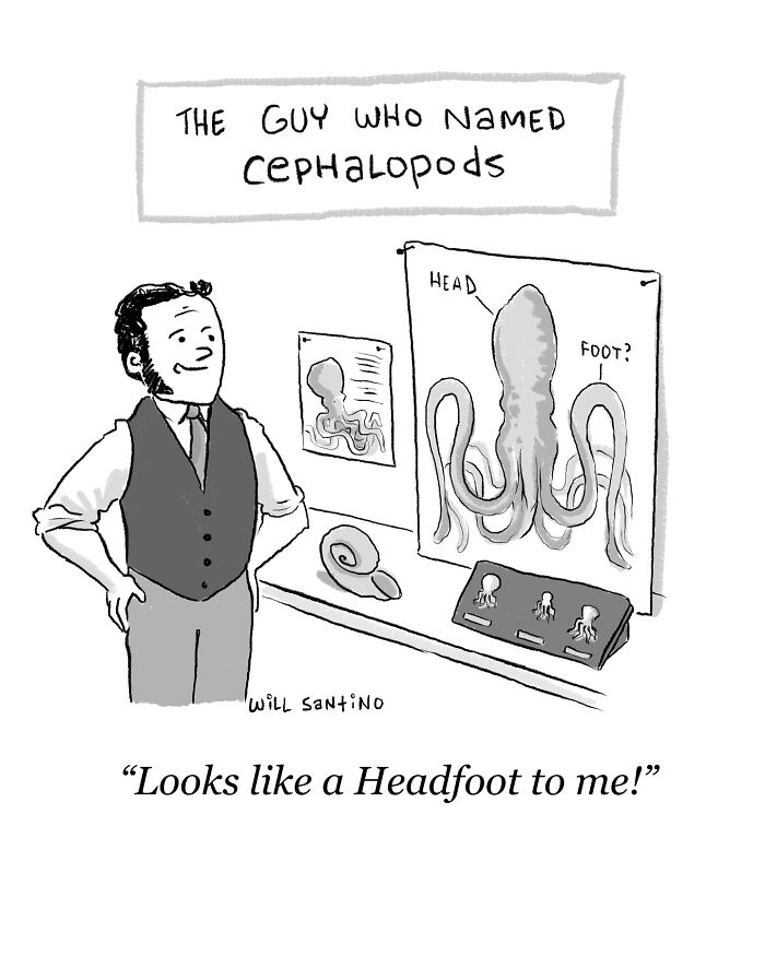A one-panel cartoon by Will Santino shows a man naming cephalopods with a humorous twist.